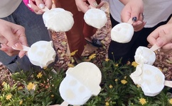 玩偶姐姐hongkongdolI森林